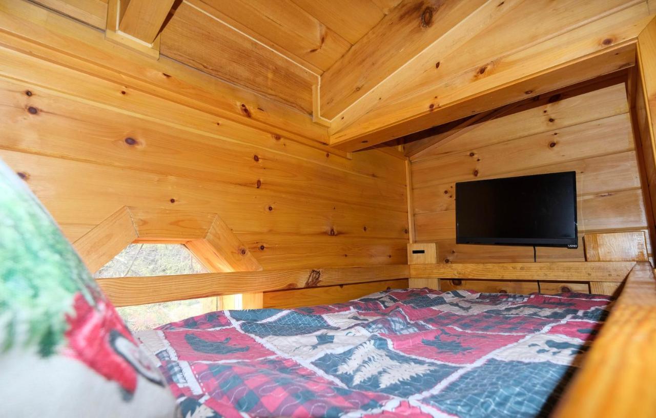 Lazy Bear Lodge جاتلينبرج المظهر الخارجي الصورة